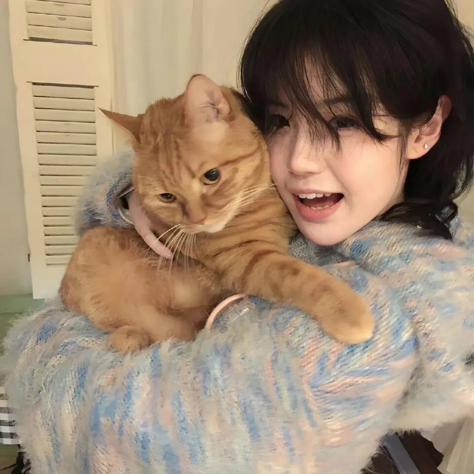 霹雳侠影之轰动武林